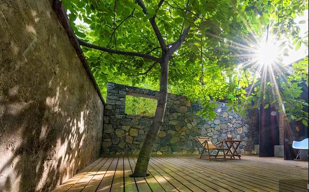 同信·愛(ài)家壹號(hào)|曾經(jīng)江湖策馬，如今院里觀花！